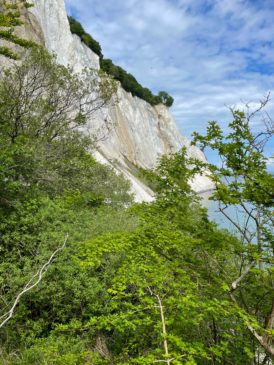 Møns Klint